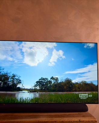 Tv Oled 4K Ultra HD Panasonic Z 80A 55