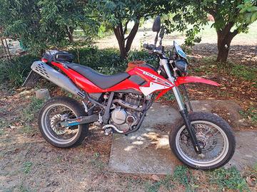 Beta M4  2005