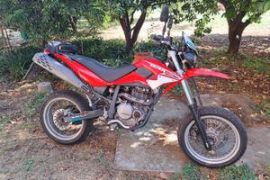 Beta M4  2005