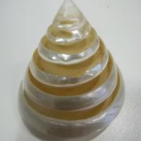 CONCHIGLIA PIRAMIDE - MADREPERLA