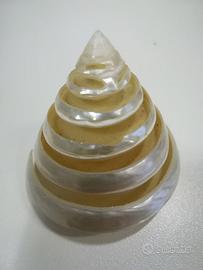 CONCHIGLIA PIRAMIDE - MADREPERLA