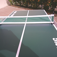 Mini tavolo da ping-pong
