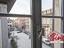 Immagine 8