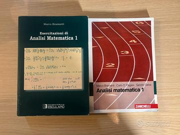 Analisi Matematica 1 Bramanti Teoria e Eserciz