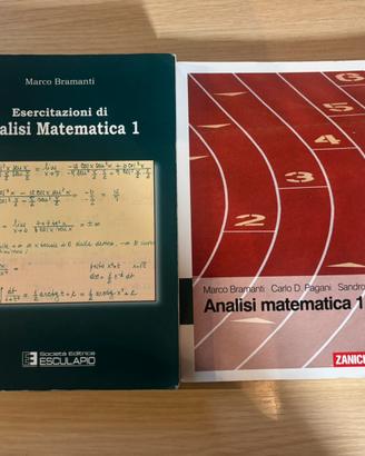 Analisi Matematica 1 Bramanti Teoria e Eserciz