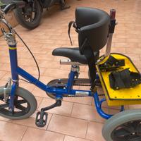 Triciclo bicicletta disabili