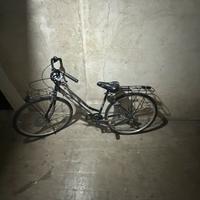 Bici gallant