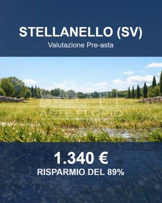 Immobile in asta di 12480 m² a Stellanello
