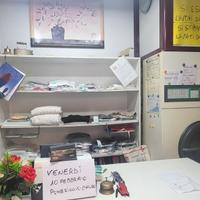 Lavanderia ecologica