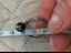 Immagine 4