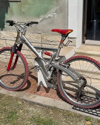 mountain bike-down hill