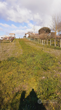 Terreno in savignano irpino