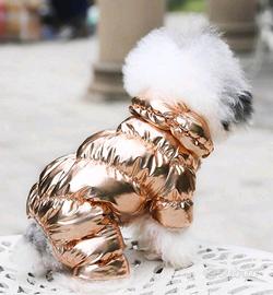 vestito pelosetti 😍