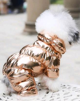 vestito pelosetti 😍