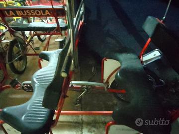 8 risciò (6 biposto 2 da quattro posti)