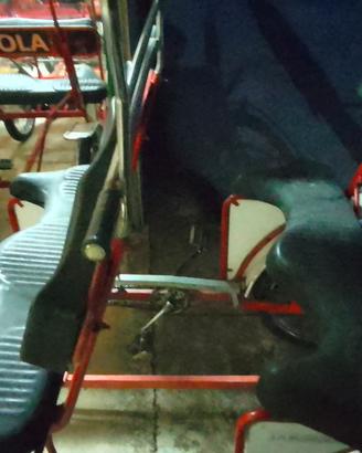 8 risciò (6 biposto 2 da quattro posti)