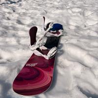 Tavola snowboard