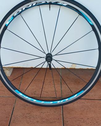 ruota  fulcrum  3