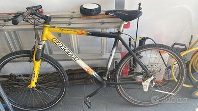 bicicletta