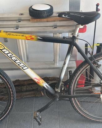 bicicletta