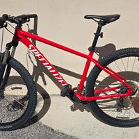 Specialized rockhopper 29