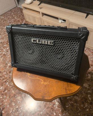 Roland Cube street