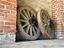 Immagine 1