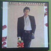 Bruce springsteen: vinili da collezione