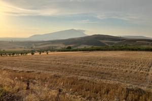 Lotti di terreno - Buseto Palizzolo e Tangi