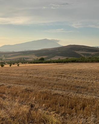 Lotti di terreno - Buseto Palizzolo e Tangi