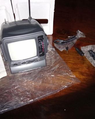 Mini televisore portatile