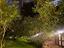 Immagine 18
