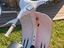Immagine 3