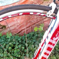 Bici corsa carbonio Olmo link