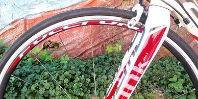 Bici corsa carbonio Olmo link