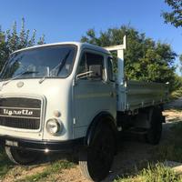 Autocarro OM Tigrotto 1968