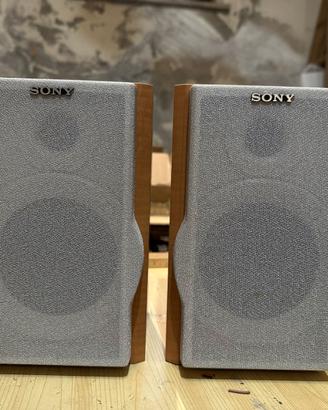 Casse SONY mod. SS-CEP313