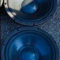 coppia woofer audio eaw 32 cm 12 pollici