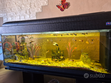 Acquario completo di tutto. 100lt