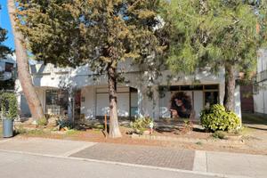 Negozio Grado Pineta