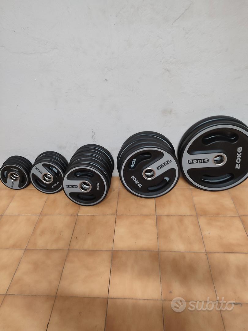 pesi sidea bilanciere Ez lacertosus palestra