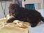 Immagine 3