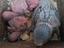 Immagine 1