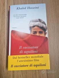 il cacciatore di aquiloni