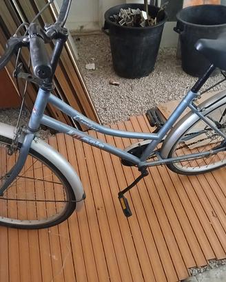 Bicicletta uomo/donna