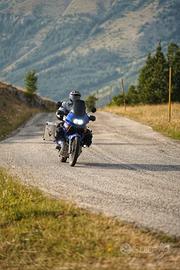 Honda Transalp XL 650V