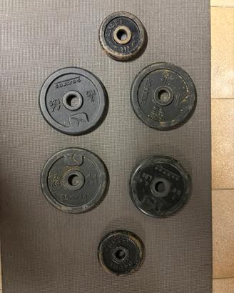 Pesi attrezzati palestra