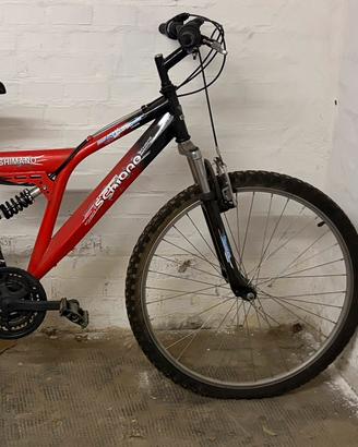 Bicicletta montenbike