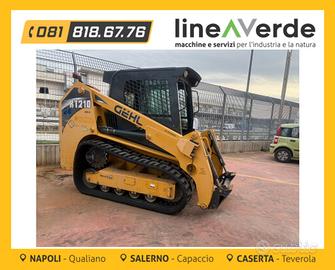 Minipala cingolata Ghel RT210