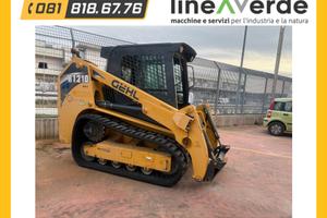 Minipala cingolata Ghel RT210